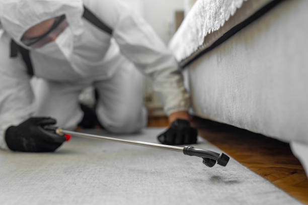 Professional Termite Control technician working in Princeton, IL
