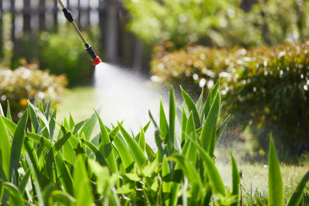 24/7 Emergency Termite Control experts in Princeton, IL